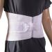 MABIS Adjustable Back Brace and Back Support Belt for Lumbar Support related to Improved Posture  Back Pain  Scoliosis and Herniated Discs  Extra Large X-Large (Pack of 1) - Buy Online on GoSupps.com