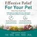 Earth Animal Herbal Remedies Supplement for Cats & Dogs - Cough, Wheeze & Sneeze - Buy Online on GoSupps.com