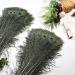 Larryhot Natural Long Peacock Feathers - 40pcs 23-28 - Ideal for Floral Arrangements, Weddings, Home Decor, and Party Decorations - Buy Online on GoSupps.com