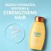 Aveeno Sunflower Oil Blend Shampoo for Dry Damaged Hair - 12 Fl Oz - Buy Online on GoSupps.com