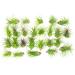 10 Ionantha Tillandsia Air Plants 2-3.5 Inches | Live Tropical House Plants for Home Decor & Terrariums - Buy Online on GoSupps.com