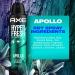 AXE Apollo Deodorant Spray 48 Hour Odor Protection Fresh Sage and Cedarwood 4oz Pack of 4 | Aluminum-Free, Residue-Free - Buy Online on GoSupps.com