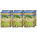 Green Jackfruit in Brine - 20oz (Pack of 6) | Tender & Delicious | Buy Now - Buy Online on GoSupps.com
