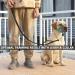 Barkeless Dog Halter - No Pull Training Harness for Easy Walking | Soft Handlebars & Expert Instructions (XL Hell Blue) - Buy Online on GoSupps.com