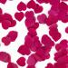 Gift Republic Heart Bath Confetti Red 40g GR650013 - Buy Online on GoSupps.com