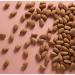 Emerge Almond Milk Hair Mask 15 oz - Sulfate & Paraben Free Deep Conditioner for Frizzy Curls - Buy Online on GoSupps.com