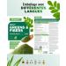Daily Greens & Fiber Powder - Combinaison de fibres & superfoods - psyllium spiruline moringa herbe d'orge inuline fibre de pomme extrait de curcuma fibre d'accia l cithine (600g Pomme verte) Pomme verte 600 g (Lot de 1) - Buy Online on GoSupps.com