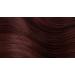  Herbatint Herbatint Permanent Hair Colour Gel 300 ml - 4R Copper Brown Ammonia-Free for Sensitive Skin 100% White Hair Coverage with 8 Organic Natural Extracts - Buy Online on GoSupps.com