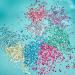 Biodegradable Eco Chunky Glitter by Moon Glitter - Dark Rose - 3g - Buy Online on GoSupps.com