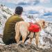 Kurgo Big Baxter Dog Backpack | Dog Saddle Bag for Hiking | Fits Dogs 22-50kg | Red - Buy Online on GoSupps.com