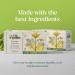 NutroGusto Tea Fennel tea - 40g - Buy Online on GoSupps.com