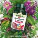 Natures Aid Multi-Vitamins & Minerals 60 Tablets - Vegan One-a-Day Formula for Immune Energy Brain & Bone Health - 60 Count Pack - Made in the UK - Buy Online on GoSupps.com