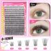 wiwoseo Russian Cluster Lashes Kit Lash Individual Cluster Eyelash Extensions D Curl Cluster Lashes Glue Bond and Seal Natural Lash Extension Kit for Beginners DIY at Home(0.07d 8-16MM) M-cluster lashes kit 8-16MM - Buy Online on GoSupps.com