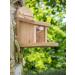 Wildlife World Wooden Squirrel Feeder with Lift-Up Lid - Garden Feeding Box - Buy Online on GoSupps.com