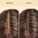 Spray - Light Warm Brown 2.7fl.oz/80ml | Seamless Lace Blending Quick-Dry Formula Natural Finish for Lace Front Wigs - Buy Online on GoSupps.com