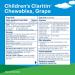 Children's Claritin Chewables - 24 Hour Non-Drowsy Allergy Relief for Kids | Grape Antihistamine Tablets 30 Count - Buy Online on GoSupps.com