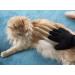 7-Part Animal Care Set | Schillerglanz Sparset - Claw Scissors Fur Brush Tick Pliers & More for Dogs Cats & Small Animals - Buy Online on GoSupps.com
