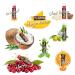 Nature's Bees Cocoa Butter Lip Balm Set - 24 Count, 8 Flavors, Bulk Assortment for Very Dry Lips - Moisturizing Chap Treatment, Natural Ingredients - Buy Online on GoSupps.com