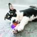 KONG Squeezz Action Ball - Red Interactive Squeaky Fetch Toy for Large Dogs | Durable Multi-Texture Design - Buy Online on GoSupps.com