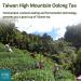 High Mountain Xin Qing Dongding Oolong Tea - 150g | Loose Leaf Taiwan Tung Ting Oolong Tea - Buy Online on GoSupps.com