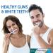 Himalaya Bright White Toothpaste Fluoride Free to Reduce Plaque & Whiten Teeth 6.17 oz (Pack of 2) - Buy Online on GoSupps.com