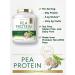 Carlyle Pea Protein Powder 7lb - Unflavored | 29G Protein | Non-GMO, Gluten and Soy-Free | Vegetarian-Friendly - Buy Online on GoSupps.com