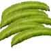 20 Winged Bean Semi di Verdure