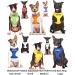 NERVOUS (Give Me Space) Yellow Colour Coded Non-Pull Front and Back D Ring Padded and Waterproof Vest Dog Harness PREVENTS Accidents By Warning Others Of Your Dog In Advance (M) Medium Harness - Buy Online on GoSupps.com