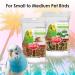 Kaytee Avian Superfood Treat Stick - Spinach & Kale 5.5oz for Birds - Buy Online on GoSupps.com