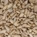 Buy 3kg Sunflower Seeds for Wild Birds - Premium Peeled Bird Feed in Bucket - Buy Online on GoSupps.com
