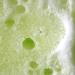 Freeman Soap Sponge Bundle - Coffee, Green Tea, and Strawberry Shower Sponges - 3 Count | Hydrating, Cleansing, Exfoliating, Self-Tanner Removal - Buy Online on GoSupps.com