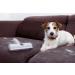 Pet Elephant Pet Hair Remover & Lint Roller for Dogs and Cats | Self-Cleaning Brush | Pet Supplies - Buy Online on GoSupps.com
