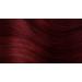 Herbatint | Hair Dye FF1 Henna Red - Buy Online on GoSupps.com