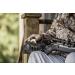 Hunters Specialties Rifle Ammo Holder with Pouch - Convenient and Durable Accessory - Buy Online on GoSupps.com