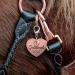 Soulhorse Exclusive Guardian Angel Bridle & Trailer Charms for Horses Ponies & Dogs - Lucky Brand Heart Rosegold Accessories - Buy Online on GoSupps.com