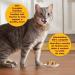 Meow Mix Tasty Layers Wet Cat Food Poultry & Fish 4 x 936g Poultry & Fish 78 g (Pack of 12) - Buy Online on GoSupps.com