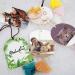 Temlum 40 Pcs Sublimation Air Freshener Blanks with Tassels - DIY Hanging Decoration for Car & Home - Buy Online on GoSupps.com