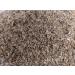 Petface Catkins Crazy Catnip - 100% Natural Wild Catnip for Playful Cats - Buy Online on GoSupps.com
