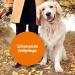 ARDAP flea comb and dust comb for dogs and cats - Effective against fleas and lice - Professional and gentle coat care - Buy Online on GoSupps.com
