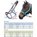 TEKE Adjustable Horse Halter - Heavy Duty Nylon, Anti-Rub Padded, Blue Full Size - Buy Online on GoSupps.com