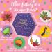 Acorus Confetti Tea Set | 6 Unique Flavors | Natural Gift Box | Perfect for All Occasions | 60 Herbal Tea Bags - Buy Online on GoSupps.com