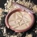 BYS Makeup - Diamond Glow Highlighter - Buy Online on GoSupps.com