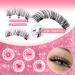 ALPHONSE Magnetic Eyelashes with Applicator - No Glue Reusable 3D Wispy Lashes Portable & Natural Look - Buy Online on GoSupps.com