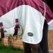 Gallop Trojan Xtra Waterproof Top Fly Turnout Combo Rug (6'9") - Buy Online on GoSupps.com
