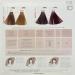 Alterego Italy Fast Color 6/3 (biondo scuro dorato) Colorazione Permanente 10 minuti 100ml - Buy Online on GoSupps.com