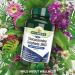 Natures Aid Glucosamine Sulphate 1000mg with Vitamin C - 90 Tablets for Collagen & Cartilage Support - Buy Online on GoSupps.com