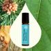 Plant Therapy Muscle Aid Essential Oil Blend Roll-On 10 mL ( oz) Pre-Diluted Cooling Muscle Relief - Buy Online on GoSupps.com