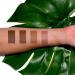 Palladio Contouring Makeup Stick - Build & Blend Contour Stick for Perfect Sculpting Look - 0.23 oz (Warm Brown) - Buy Online on GoSupps.com