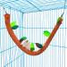 5PCS Forest Pattern Hammock and Swing Set for Small Animals - Cage Toy Accessories for Hamsters, Rats, Guinea Pigs, Gliders, and Squirrels - Buy Online on GoSupps.com