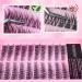 FANXITON Self Adhesive Lash Clusters | Natural Waterproof Wispy & Cat Eye Lashes - 180 pcs C Curl No Glue - Buy Online on GoSupps.com
